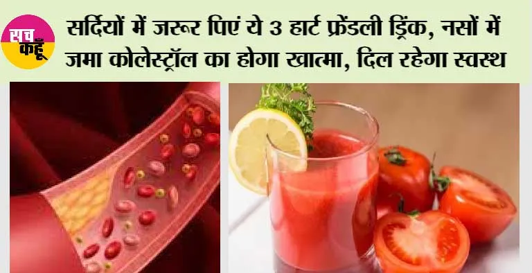Cholesterol Control: सर्दियों में जरूर पिएं ये 3 हार्ट फ्रेंडली ड्रिंक, नसों में जमा कोलेस्ट्रॉल का होगा खात्मा, दिल रहेगा स्वस्थ