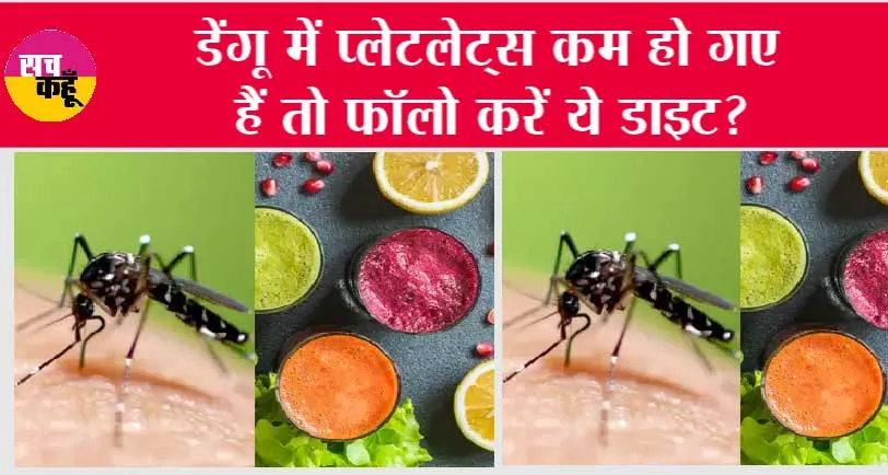 Dengue Diet: डेंगू में प्लेटलेट्स कम हो गए हैं तो फॉलो करें ये डाइट?