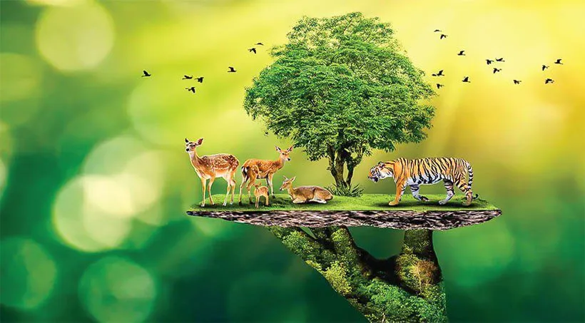 संशोधन विधेयक बनाम पर्यावरण