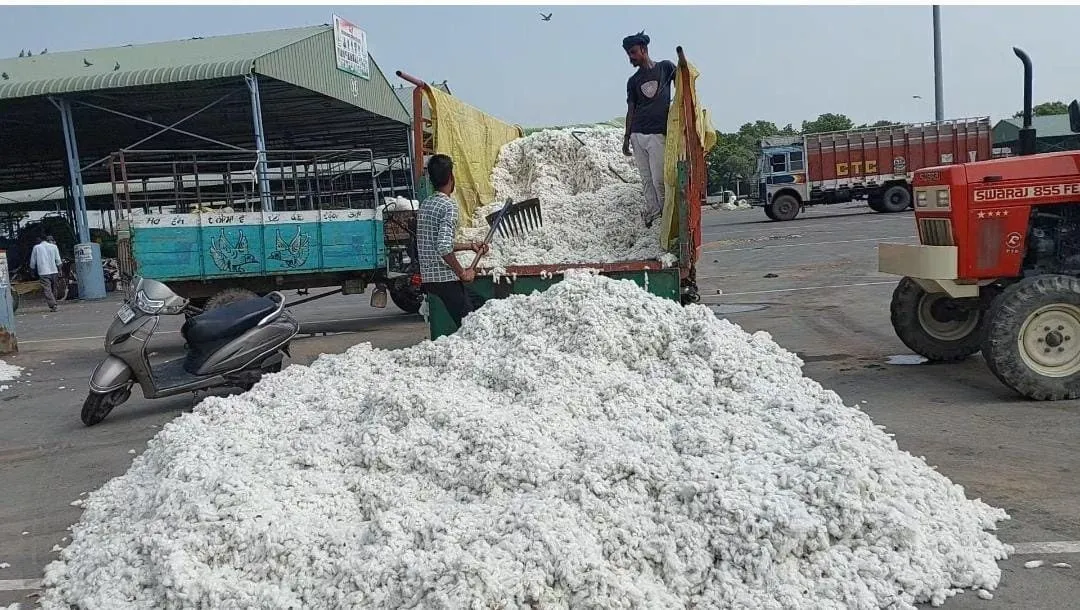 बाजार में सफेद सोने की आवक तेज