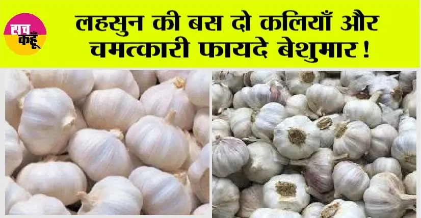 Garlic Benefits: लहसुन की बस दो कलियाँ और चमत्कारी फायदे बेशुमार! आपके स्वास्थ्य के प्रति बढ़ती चिंता को कर दे दरकिनार!