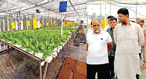 किसान अर्चित सिंघल ने खेती को दिया नया मुकाम