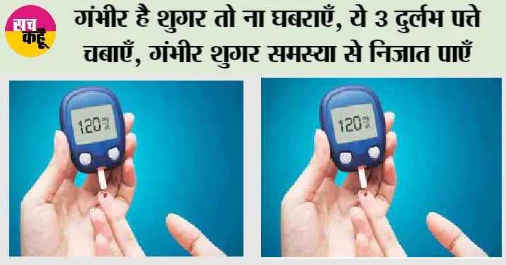 Herb For Diabetes: गंभीर है शुगर तो ना घबराएँ, ये 3 दुर्लभ पत्ते चबाएँ, गंभीर शुगर समस्या से निजात पाएँ