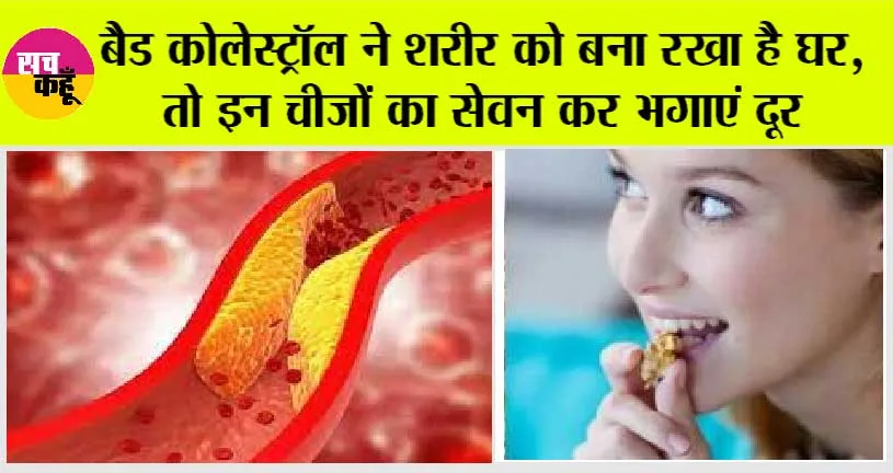 How To Control Bad Cholesterol: बैड कोलेस्ट्रॉल ने शरीर को बना रखा है घर, तो इन चीजों का सेवन कर भगाएं दूर
