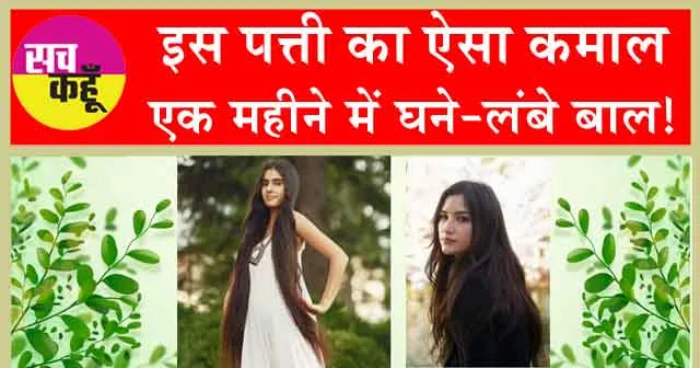 Drumsticks for hair: इस पत्ती का ऐसा कमाल, एक महीने में घने-लंबे बाल!  नुस्खा बड़ा ही दबंग, हर कोई रह जाएगा दंग