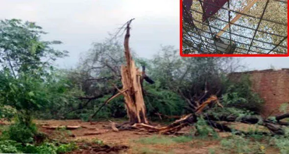 Rain Alert  in Rajasthan: आसमानी आफत का रौद्र रूप, देख रौंगटे खड़े हो जाएंगे!