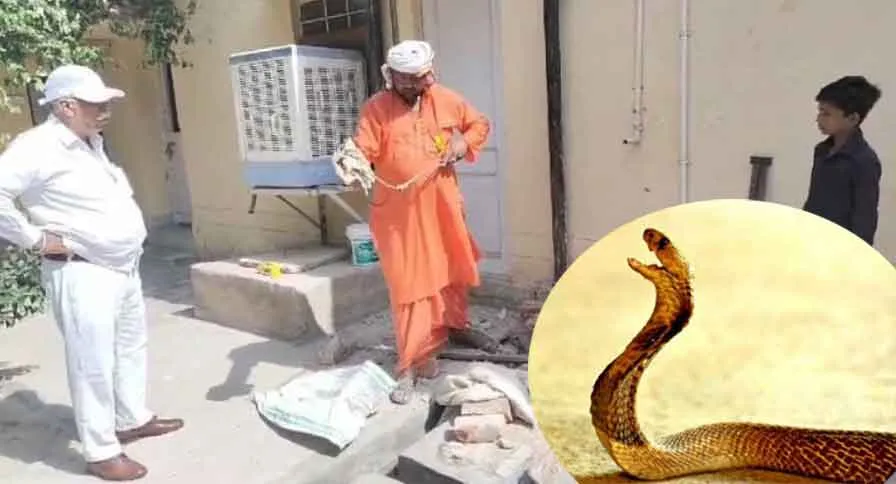 एडीएम के सरकारी आवास में सांप घुसने से हडक़ंप