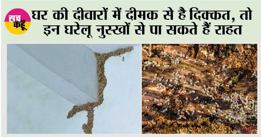 Termites In Home: घर की दीवारों में दीमक से है दिक्कत, तो इन घरेलू नुस्खों से पा सकते हैं राहत