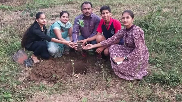 Tree Plantation