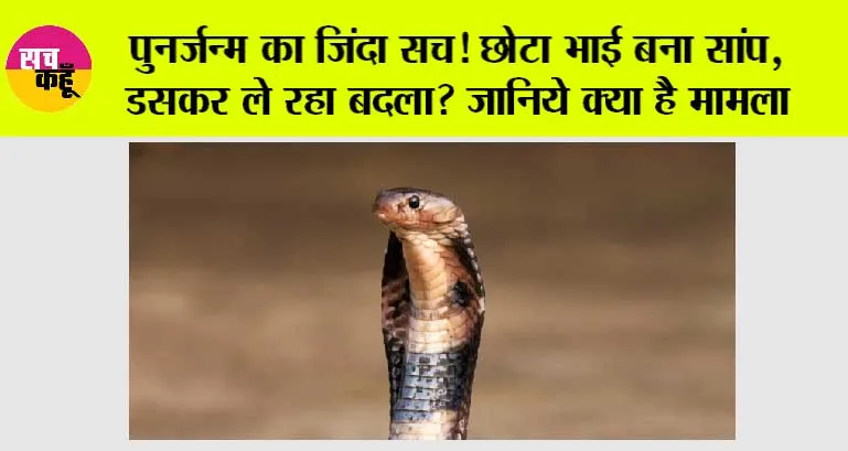 Uttar Pradesh News: पुनर्जन्म का जिंदा सच! छोटा भाई बना सांप, डसकर ले रहा बदला?