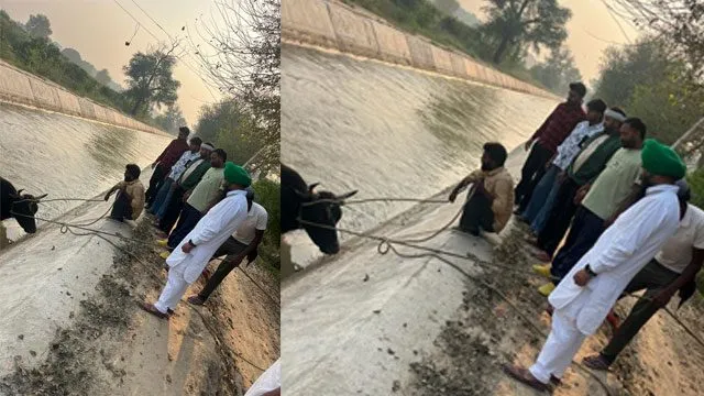 समाजसेवी लोगों ने बचाई बेसहारा पशुओं की जान