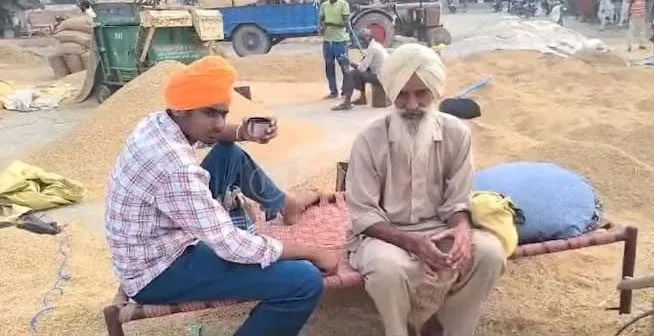 किसानों को क्वालिटी कट के नाम पर लूट रहे शैलर वाले