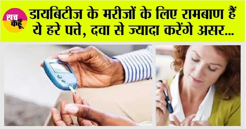 Blood Sugar: डायबिटीज के मरीजों के लिए रामबाण हैं ये हरे पत्ते, दवा से ज्यादा करेंगे असर…