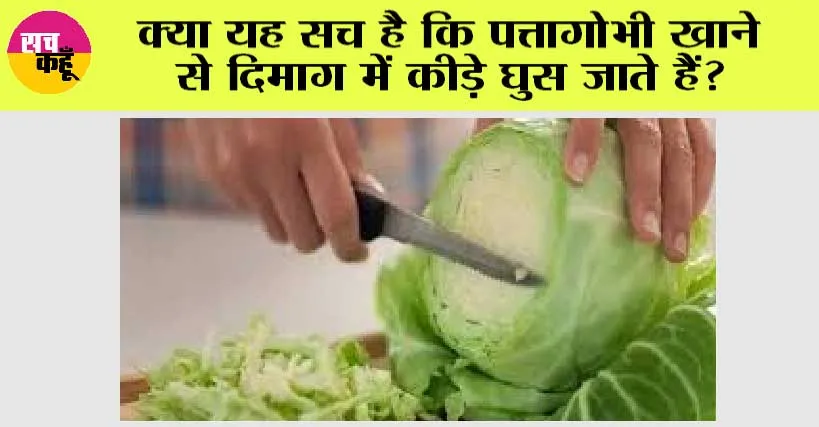 Cabbage Dangerous Tapeworm: क्या यह सच है कि पत्तागोभी खाने से दिमाग में कीड़े घुस जाते हैं?