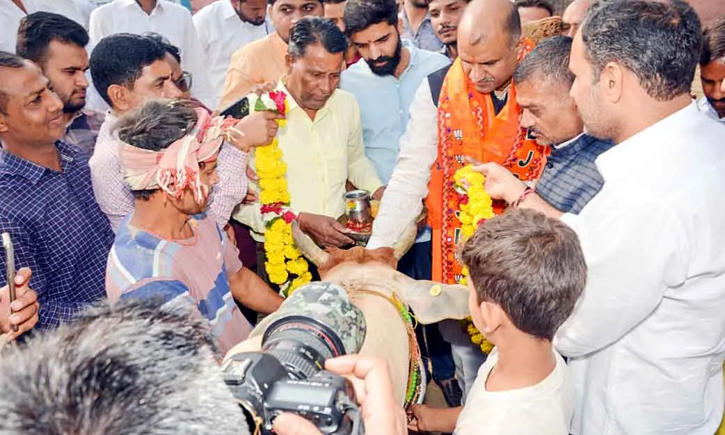 भाजपा प्रदेशाध्यक्ष ने की प्रत्येक राजस्थानी की सुख-समृद्धि की कामना