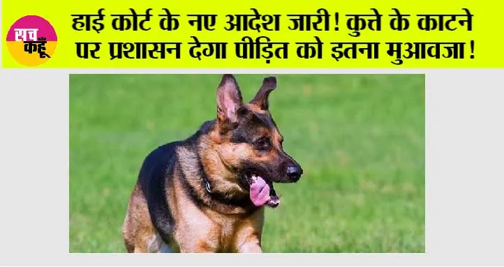 Dog Bite: हाई कोर्ट के नए आदेश जारी! कुत्ते के काटने पर प्रशासन देगा पीड़ित को इतना मुआवजा!
