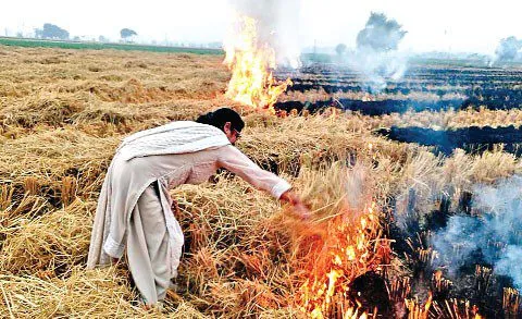 पराली को आग लगाने पर लगाया 2.82 लाख का ‘पर्यावरण जुर्माना’