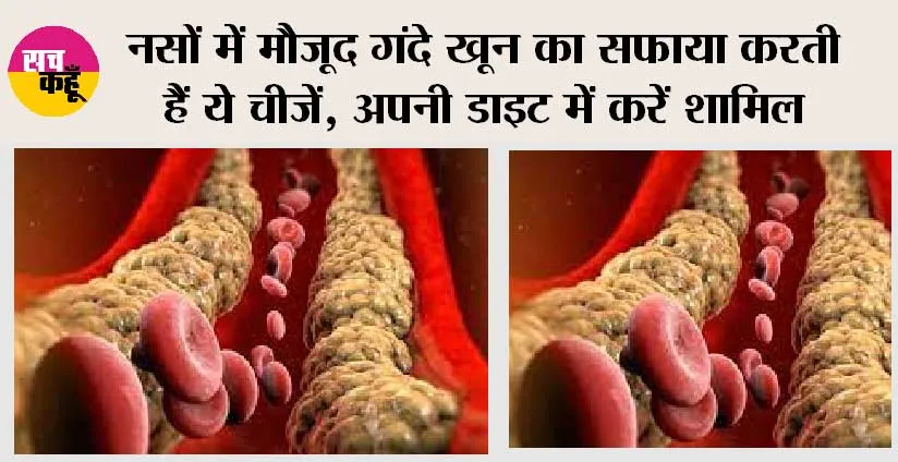 Normal Cholesterol Level: नसों में मौजूद गंदे खून का सफाया करती हैं ये चीजें, अपनी डाइट में करें शामिल