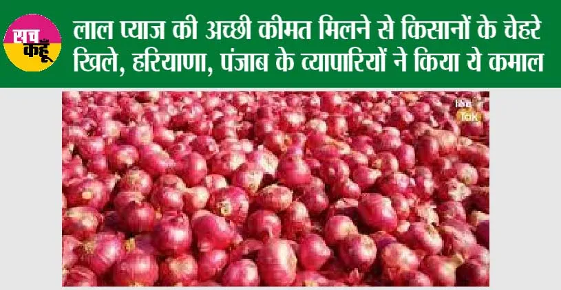 Onion Price: लाल प्याज की अच्छी कीमत मिलने से किसानों के चेहरे खिले, हरियाणा, पंजाब के व्यापारियों ने किया ये कमाल