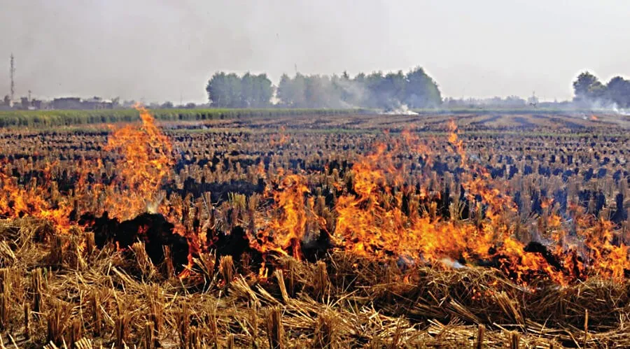 Stubble Burning: पराली जलाने वाले किसानों पर 24 लाख का जुर्माना