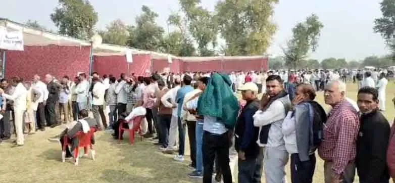 Rajasthan Election 2023: कार्मिकों ने पोस्टल बैलेट के जरिए किया मतदान