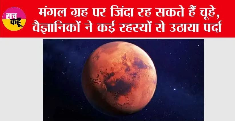 Rats Survive On Mars: मंगल ग्रह पर जिंदा रह सकते हैं चूहे, वैज्ञानिकों ने कई रहस्यों से उठाया पर्दा