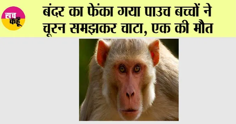Trending News: बंदर की गुस्ताखी, बच्चों पर पड़ी भारी, 3 बच्चे हुए जहरीले चूरण का शिकार