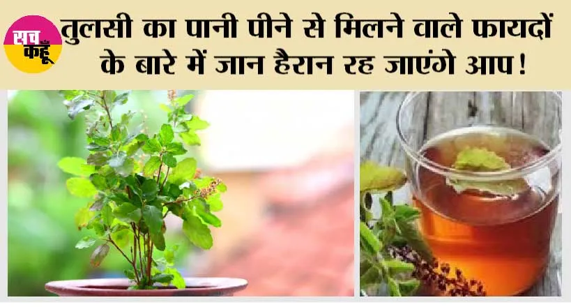 Tulsi Water Benefits: औषधीय गुणों से भरपूर है तुलसी का पानी, फायदों के बारे में जान हैरान रह जाएंगे आप!