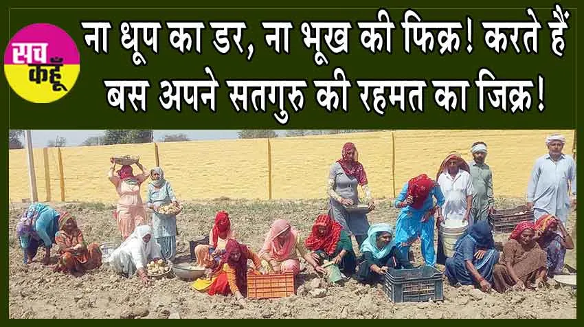 ना धूप का डर, ना भूख की फिक्र! करते हैं बस अपने सतगुरु की रहमत का जिक्र!