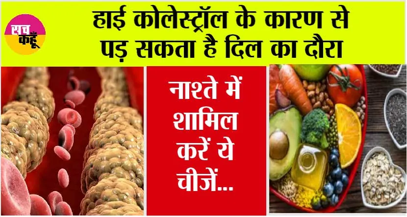 Cholesterol Lowering Breakfast: हाई कॉलेस्ट्रॉल की वजह से हो सकती है ये खतरनाक बीमारी, नाश्ते में शामिल करें ये चीजें…