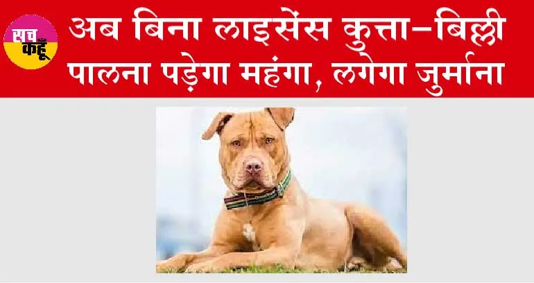 Dog New Rule: अब बिना लाइसेंस कुत्ता-बिल्ली पालना पड़ेगा महंगा, लगेगा जुर्माना