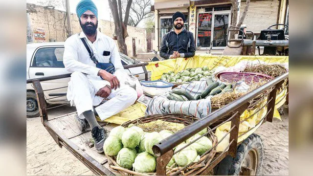 Farmers News: म्हारी खेती-म्हारे किसान: बैंक की नौकरी छोड़ दो दोस्तों ने बोई सब्जी, कमा रहे मोटा मुनाफा