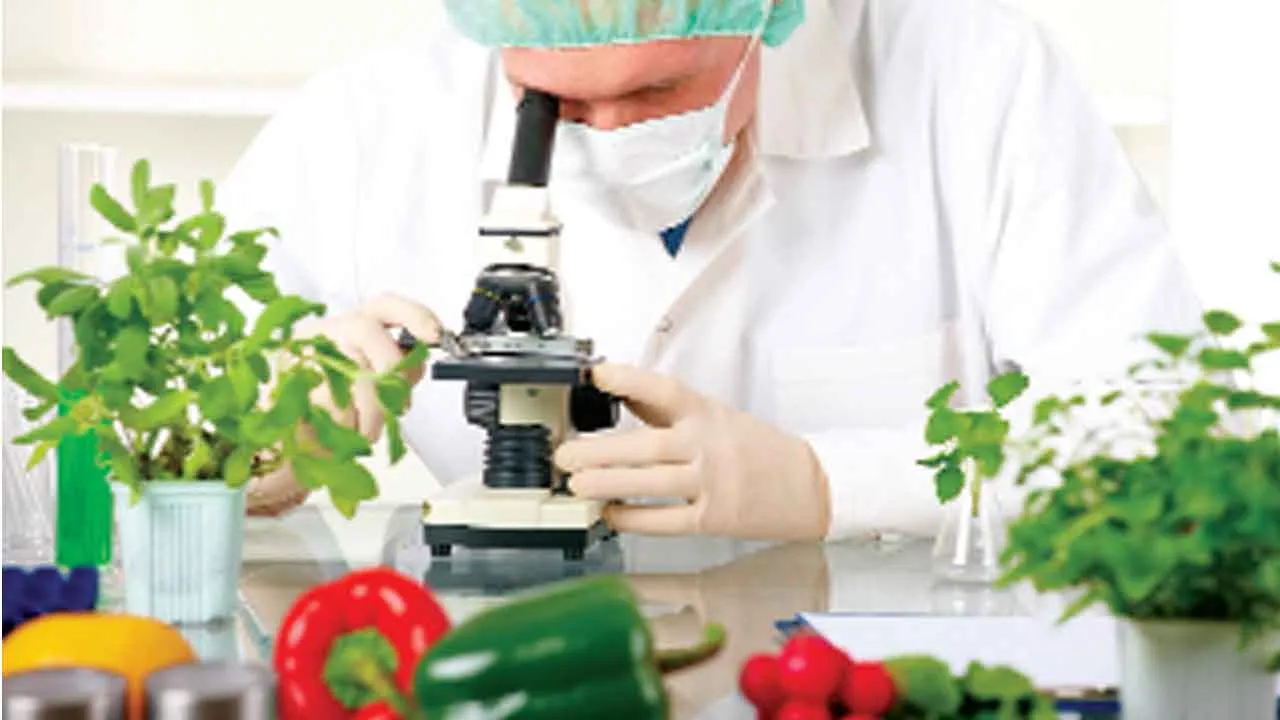 Food Technology: फूड टेक्नोलॉजी में बनाएं करियर