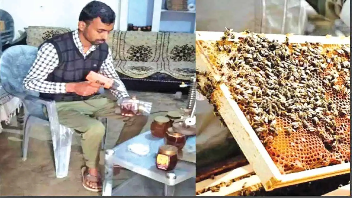 Honey Bee Farming : प्रगतिशील किसान ने 14 वर्ष में लाखों तक पहुंचाया कारोबार