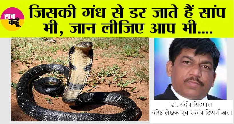 What Smells Do Snakes Hate: जिसकी गंध से डर जाते हैं सांप भी, जान लीजिए आप भी….