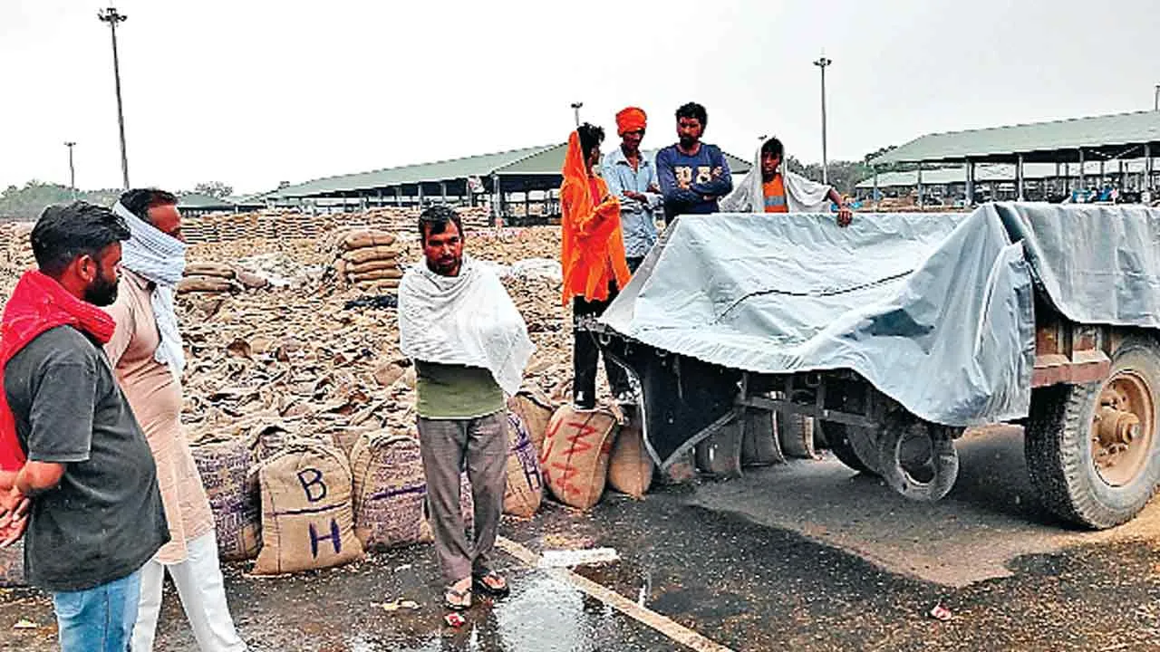बारिश से अनाज मंडियों में भीगी गेहूं की बोरियां, किसान चिंतित