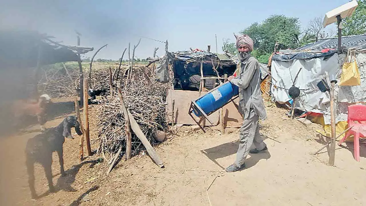 चोरों के हौंसले बुलन्द, 6 बकरियां चुराकर फरार