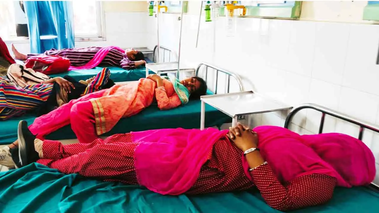 पार्क में बैठे युवक-युवतियों पर मधु मक्खियों ने बोला हमला, आठ घायल