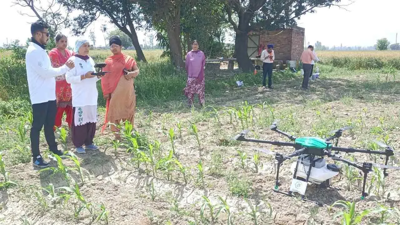 अब महिलाएं खेतों में ड्रोन से करेंगी स्प्रे