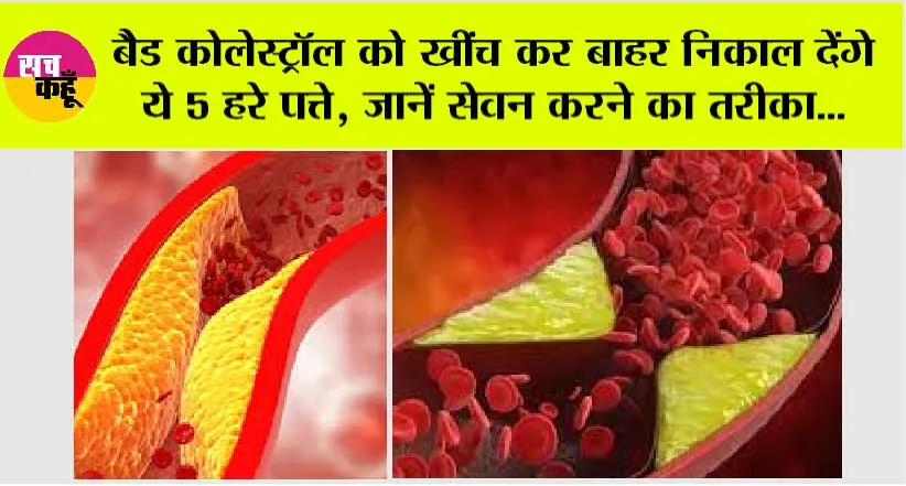 Bad Cholesterol: बैड़ कोलेस्ट्रॉल को शरीर से बहार निकाल सकते है ये 5 हरे पत्ते, जानें सेवन करने का तरीका