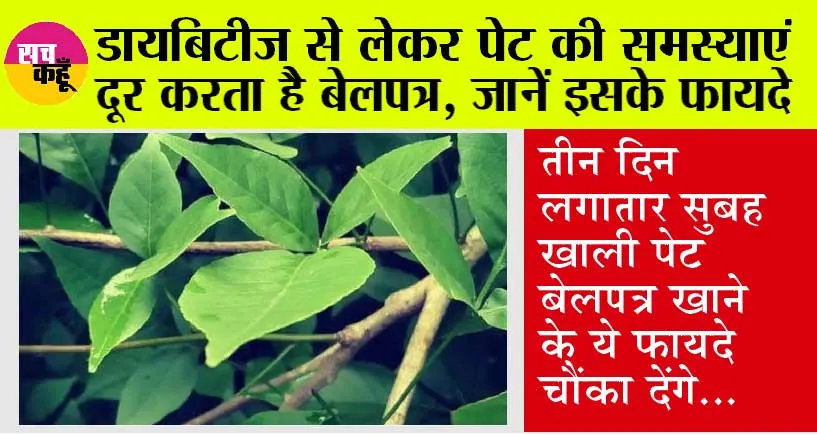 Bael Patra Benefits: गर्मियों में सुबह खाली पेट बेल पत्र खाने से मिलते हैं ये गजब के फायदे, इस तरह करें इसका सेवन