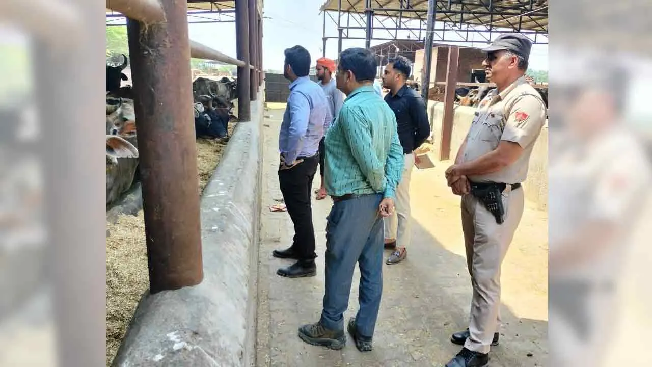 एडीसी ने नगर परिषद अधिकारियों संग लिया निर्माण कार्यों का जायजा
