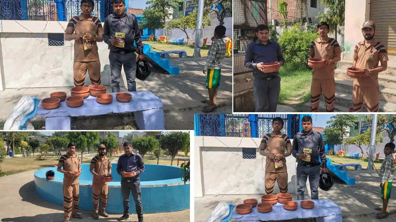 डेरा सच्चा सौदा के सेवादारों द्वारा की गयी पक्षियों के लिए दाना पानी की व्यवस्था