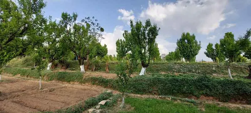 Chachia Nagari Dham sachkahoon