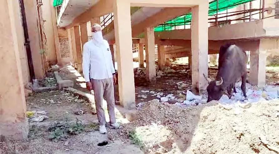 कलक्ट्रेट परिसर में चरमराई सफाई व्यवस्था