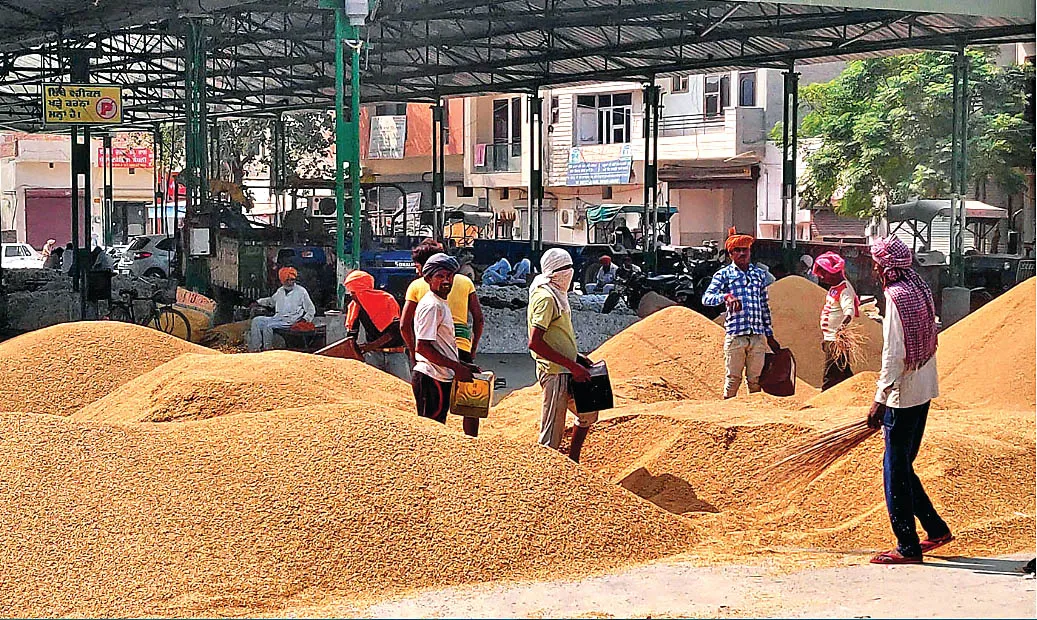 धानमण्डी से सरसों लदी पिकअप गाड़ी चोरी