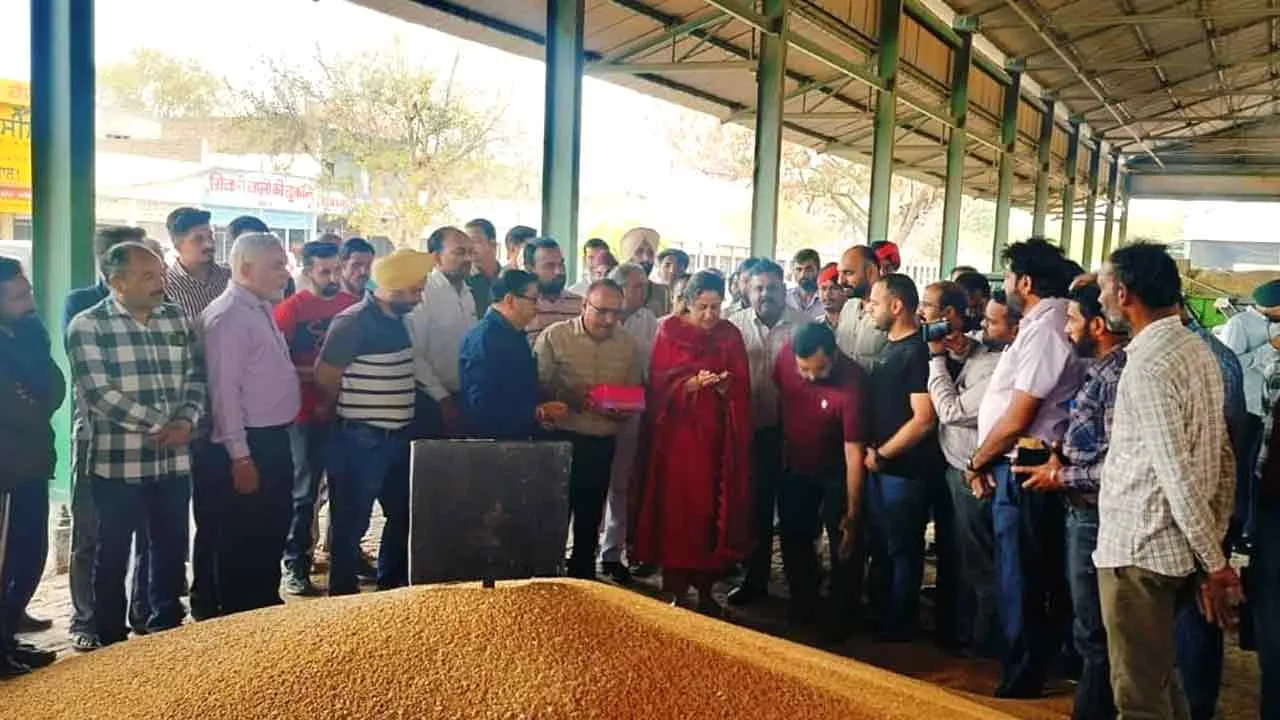 उपायुक्त ने गेहूं की सरकारी खरीद शुरू करायी