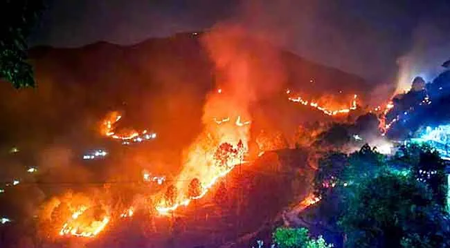 Uttarakhand: उत्तराखंड में कई हेक्टेयर जंगल आग की चपेट में