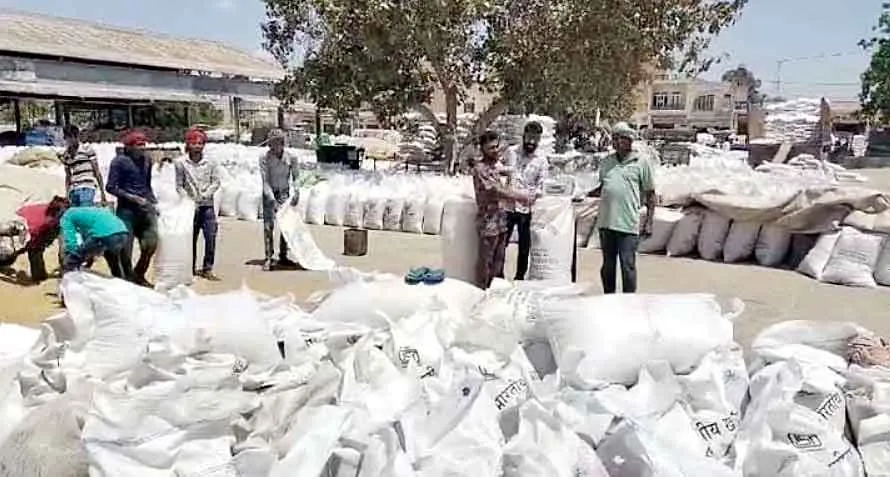 टाउन अनाज मण्डी में गेहूं उठाव कार्य बंद, सभी रास्ते ब्लॉक