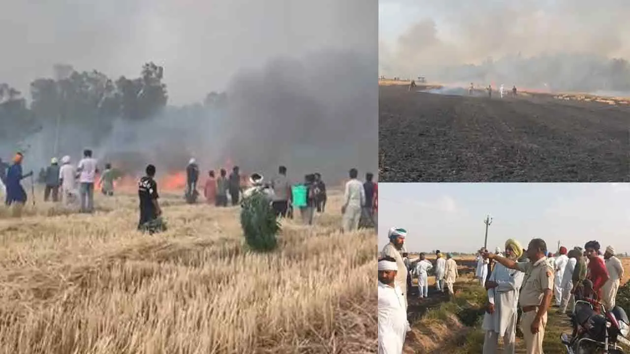 जाखल में 45 एकड़ गेंहू की खड़ी फसल जलकर राख